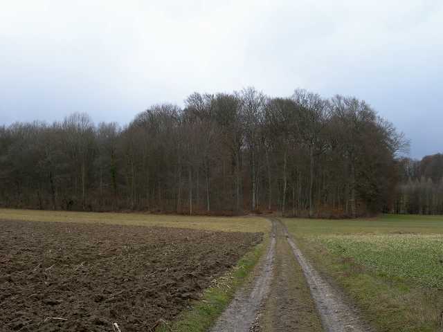 Hagenthal  (FRA)    17 Febbraio  2006